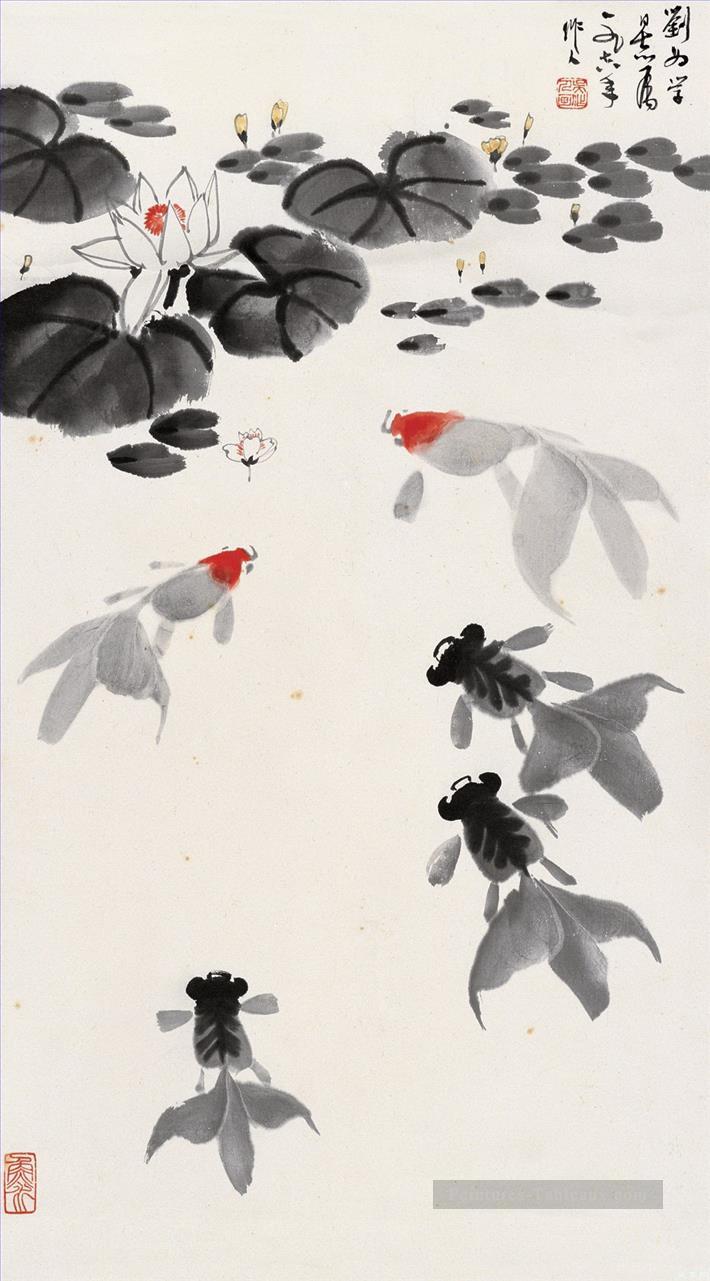 Wu Zuoren Goldfish dans l’étang de nénuphar vieille Chine à l’encre Peintures à l'huile